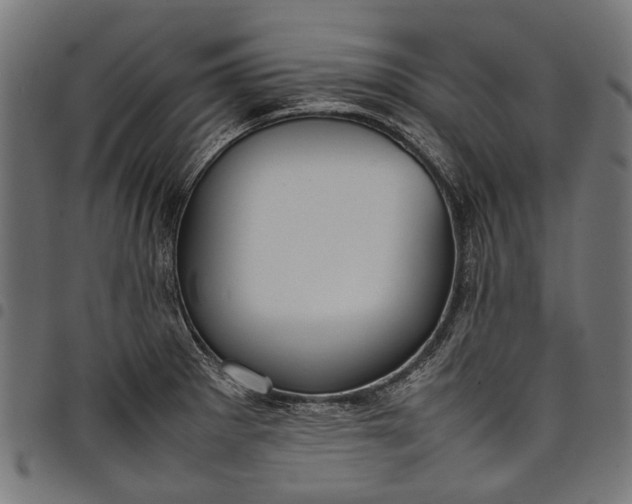 X0000097821281200803281113