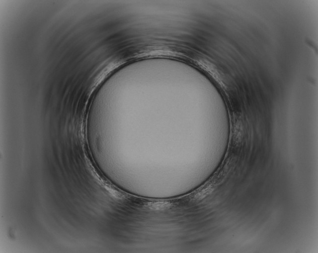 X0000097821282200803281113