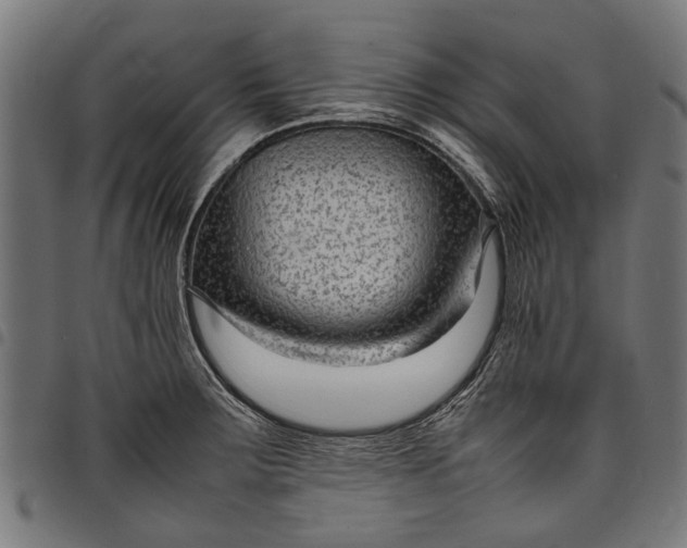 X0000097821283200803281113