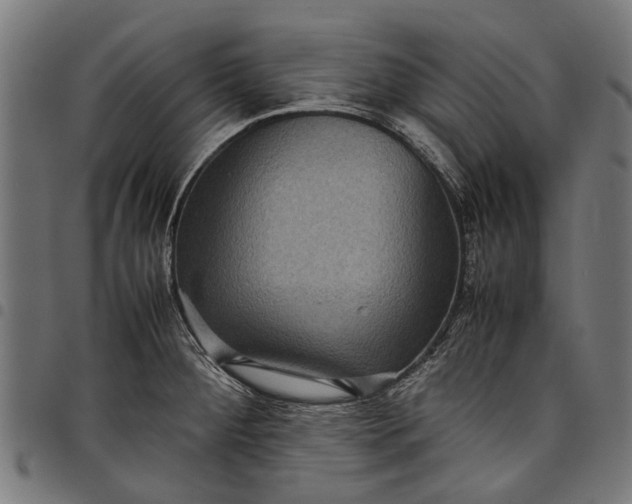 X0000097821284200803281113