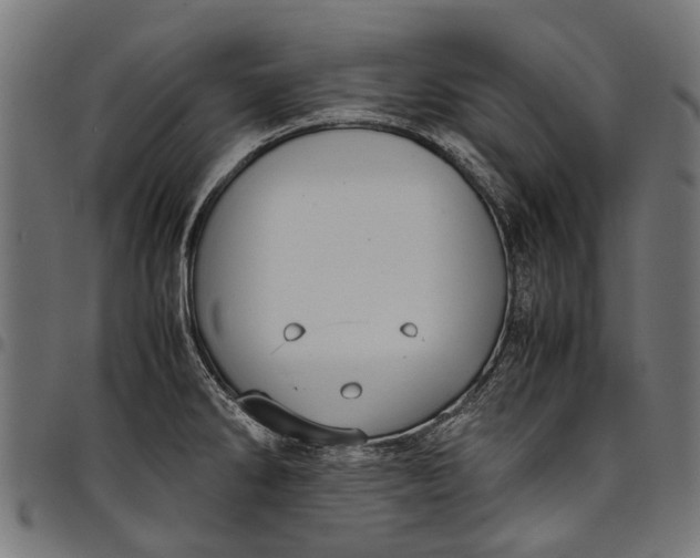 X0000097821286200803281113