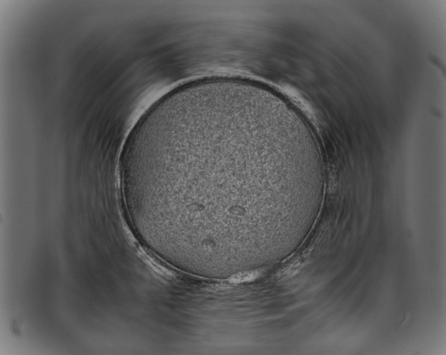 X0000097821287200803281113