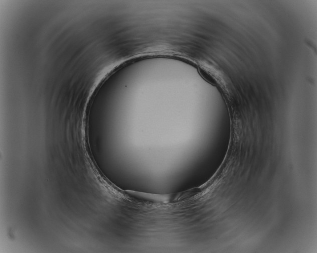 X0000097821288200803281113