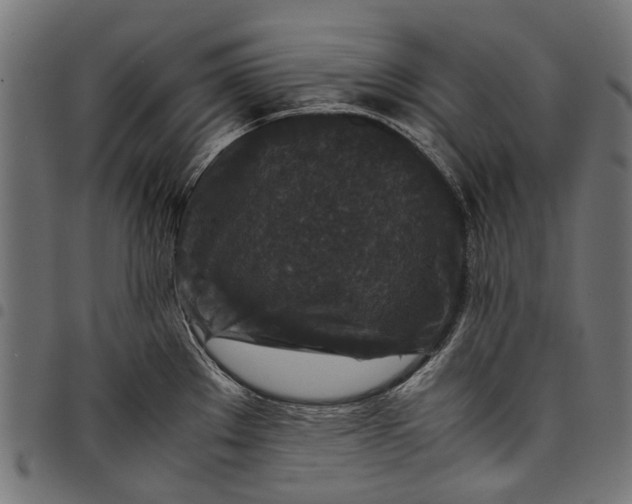 X0000097821289200803281113