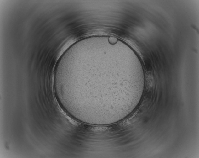 X0000097821290200803281113