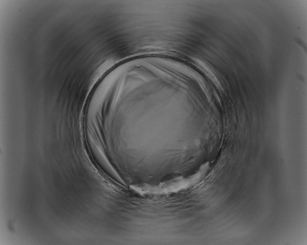 X0000097821291200803281113