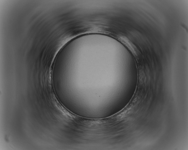 X0000097821292200803281113