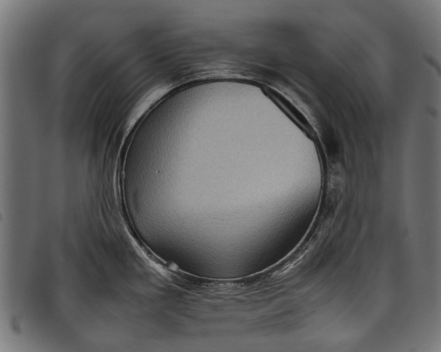 X0000097821293200803281113