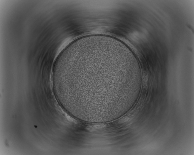 X0000097821294200803281113