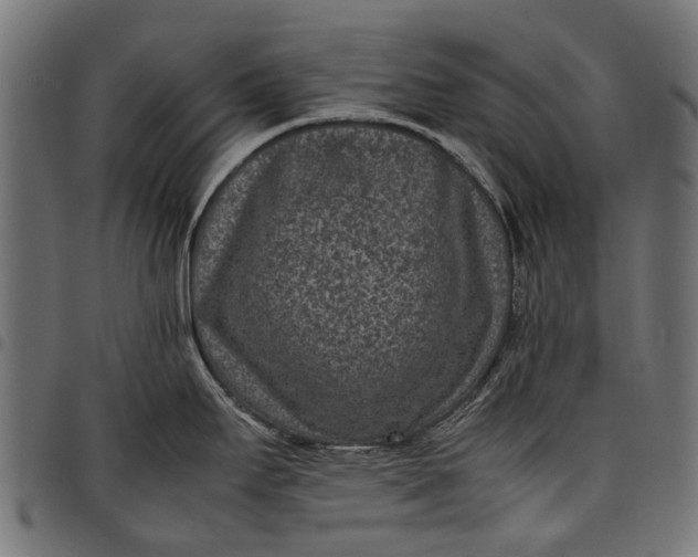 X0000097821295200803281113