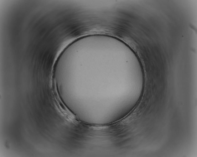 X0000097821296200803281113