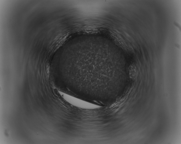 X0000097821298200803281112