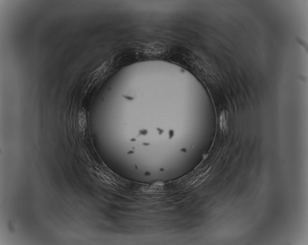 X0000097821299200803281112