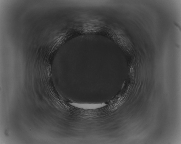 X0000097821300200803281112