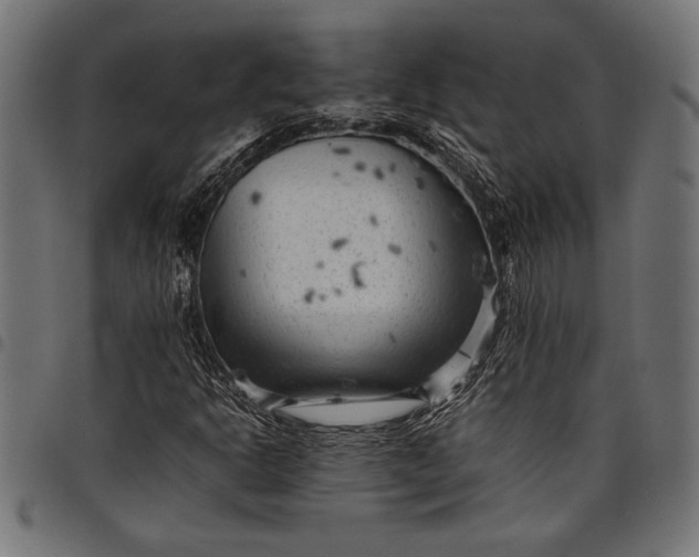 X0000097821302200803281112