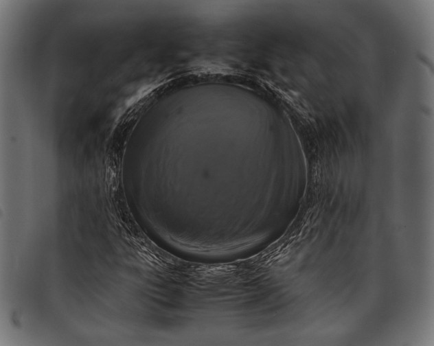 X0000097821303200803281112