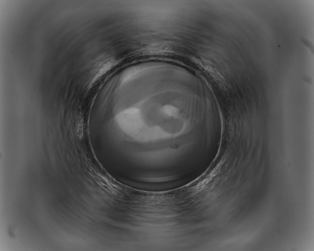 X0000097821306200803281112