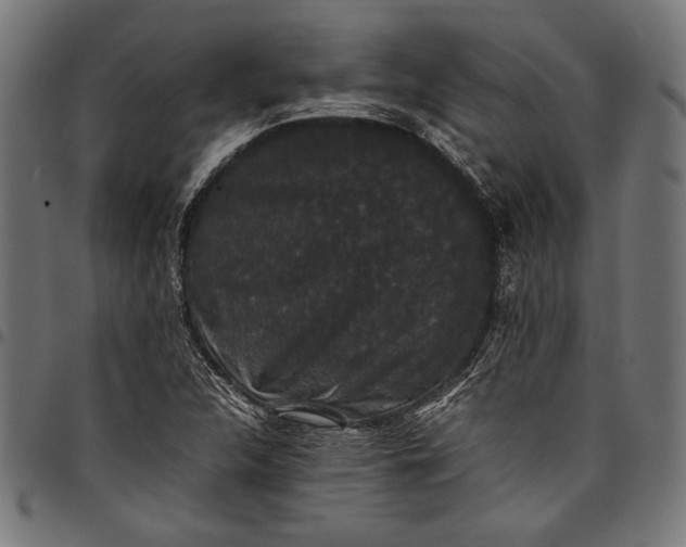 X0000097821312200803281112