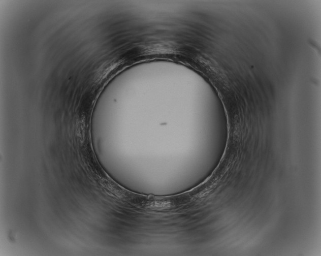 X0000097821313200803281112