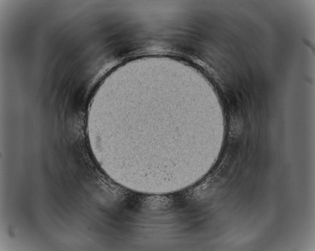 X0000097821314200803281112