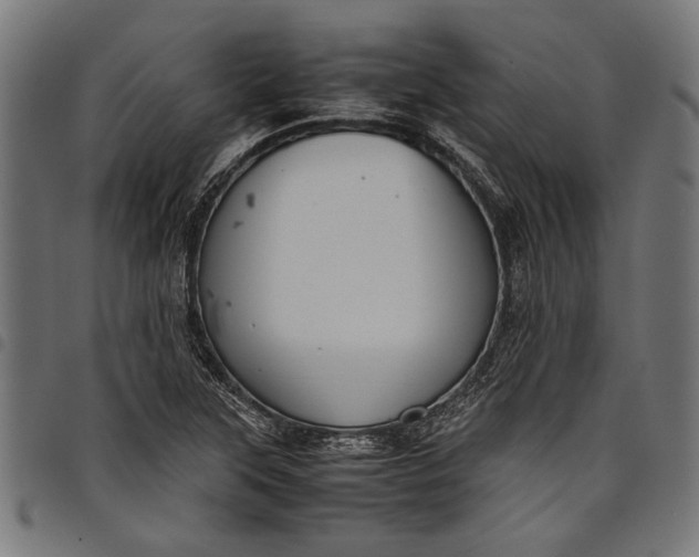 X0000097821315200803281112