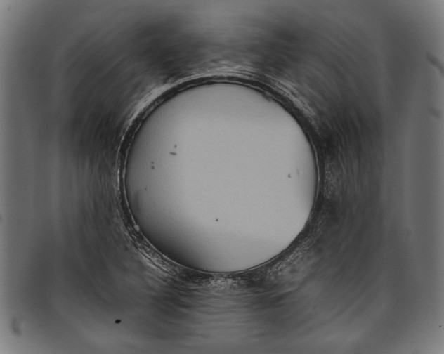 X0000097821316200803281112