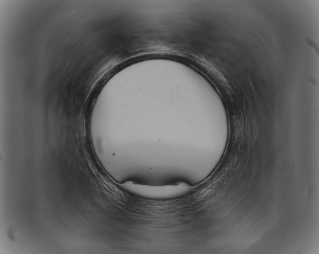 X0000097821318200803281112