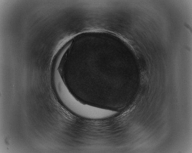 X0000097821319200803281112