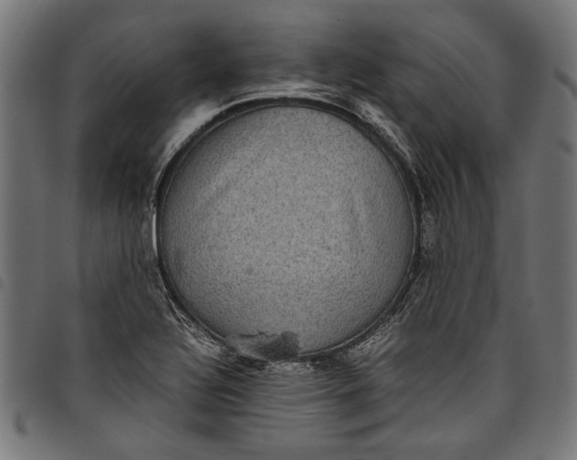 X0000097821320200803281112