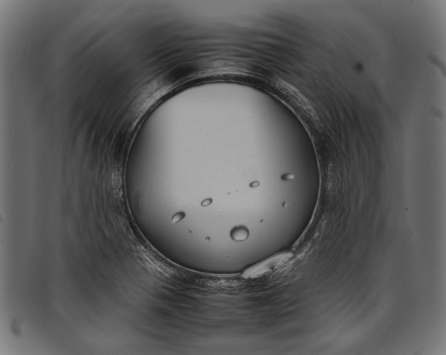 X0000097821321200803281112