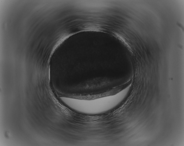 X0000097821323200803281112