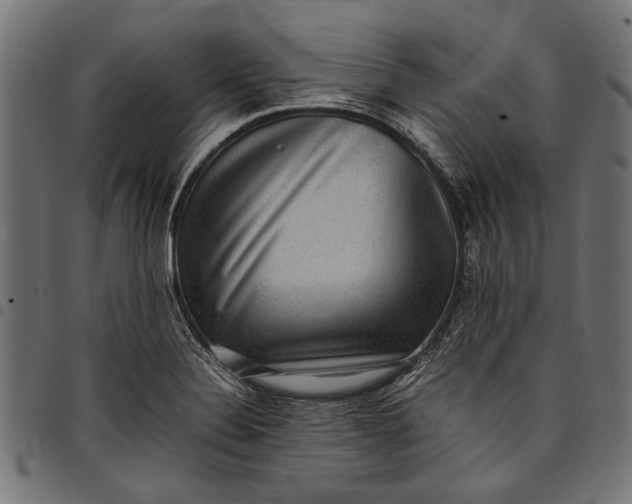 X0000097821324200803281112