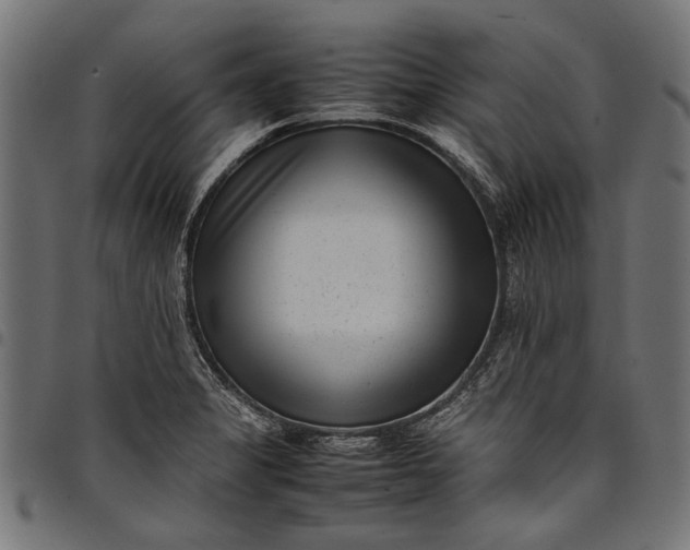 X0000097821325200803281112