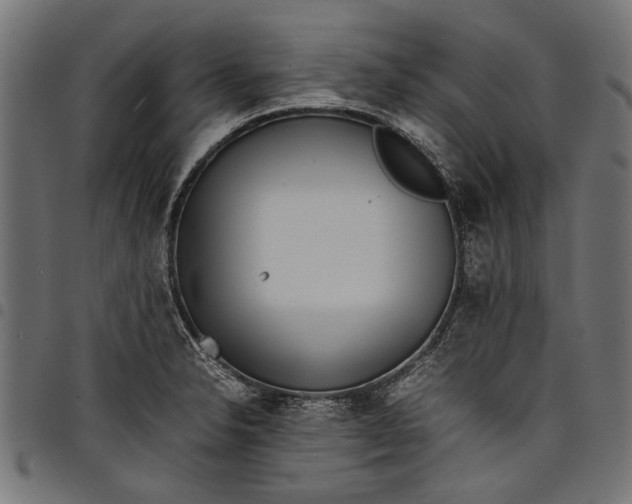 X0000097821326200803281112