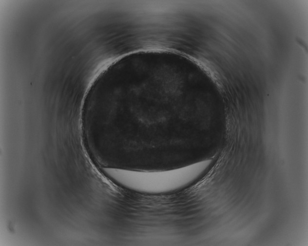 X0000097821327200803281112