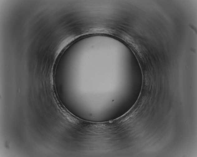 X0000097821328200803281113