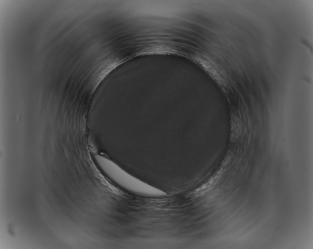 X0000097821329200803281113