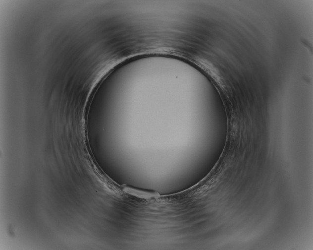 X0000097821332200803281113