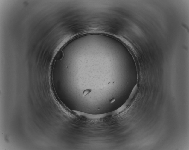 X0000097821333200803281113