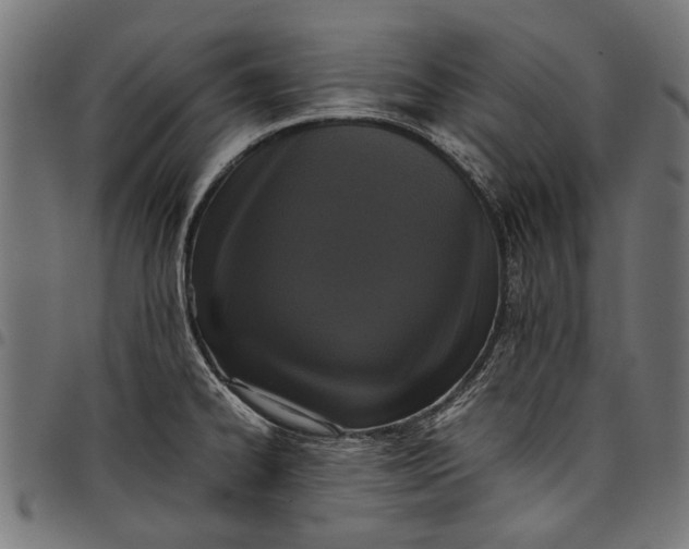 X0000097821334200803281113