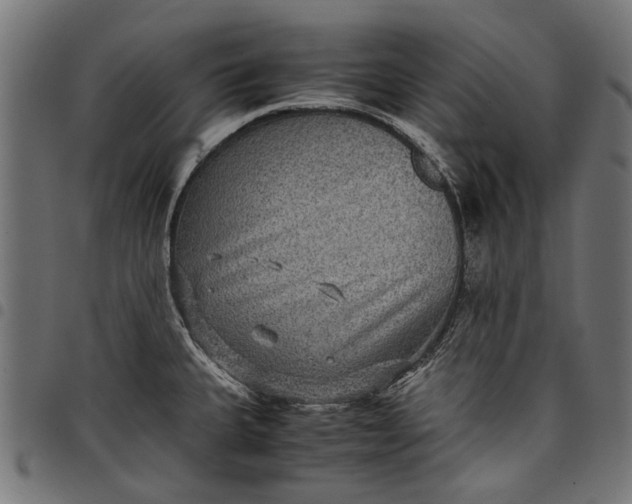 X0000097821335200803281113