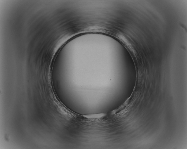 X0000097821336200803281113