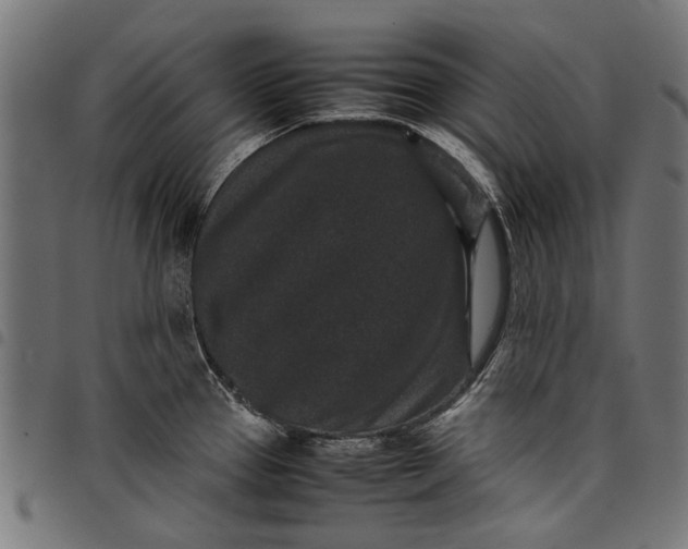 X0000097821337200803281113