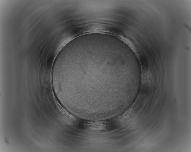 X0000097821338200803281113