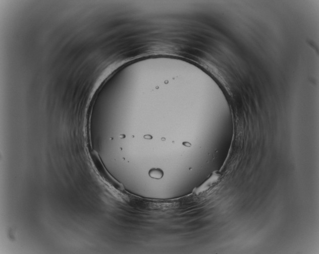 X0000097821339200803281113