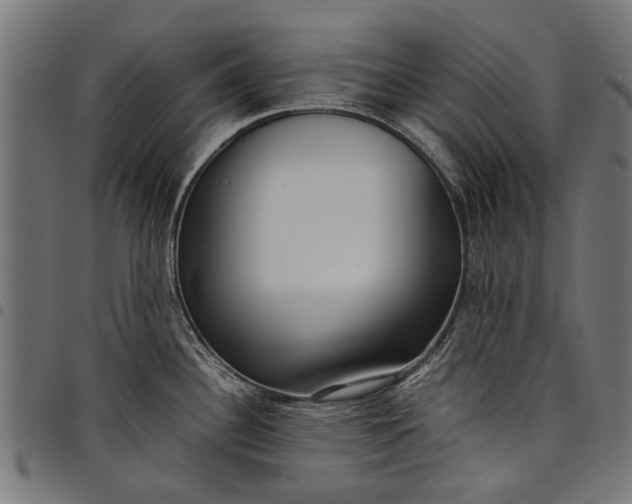 X0000097821340200803281113