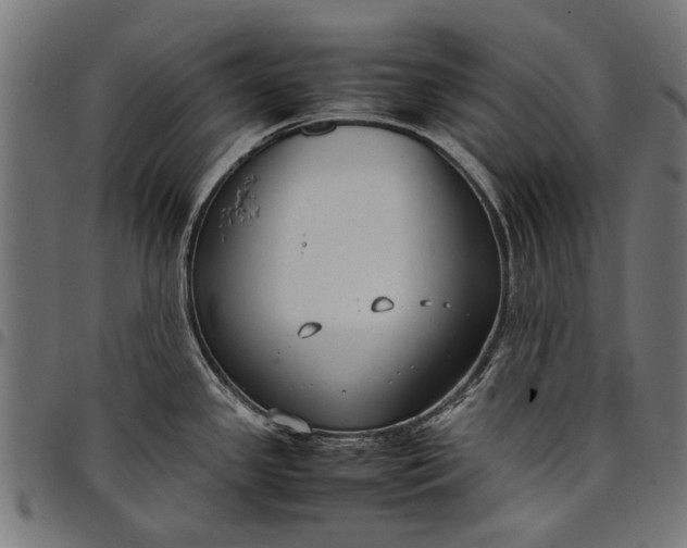 X0000097821341200803281113