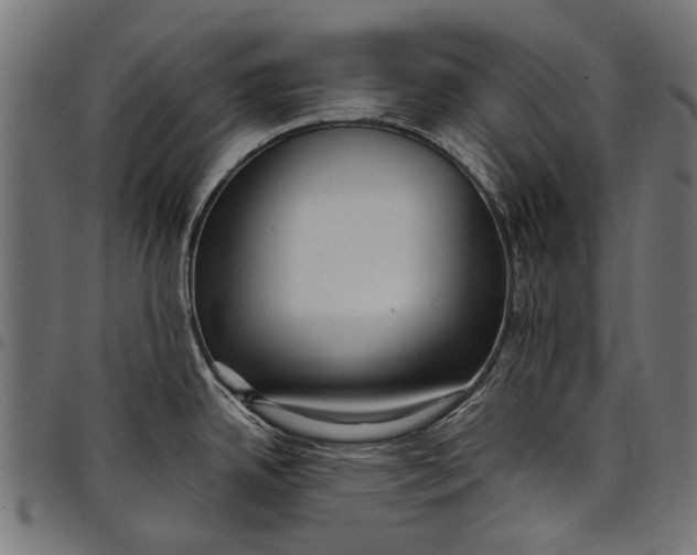 X0000097821342200803281113