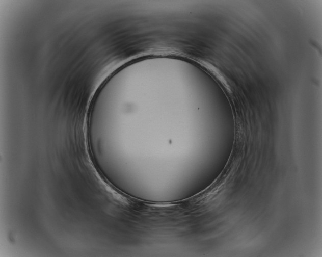 X0000097821343200803281113