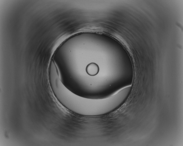 X0000097821344200803281113